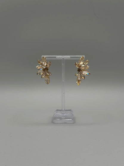 Crystal Garden Earrings